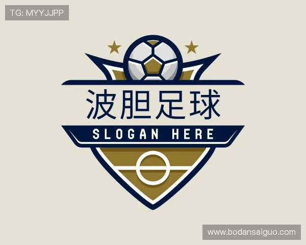 认识波胆分析